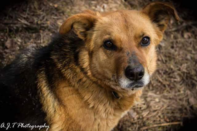 FB_IMG_1501119658395