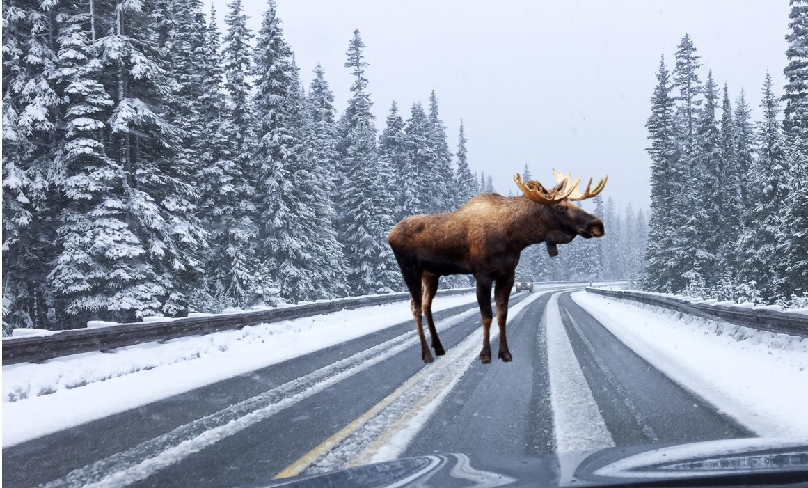moosehighway2